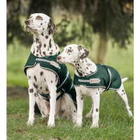 Regenhundedecke tannengrün 40cm