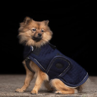 HV Polo Franka Hundemantel XL navy