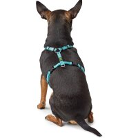 Geschirr Tripoli XXS-XS hellblau Nylon