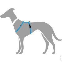 Geschirr Tripoli XXS-XS hellblau Nylon