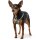 Geschirr Tripoli XXS-XS hellblau Nylon
