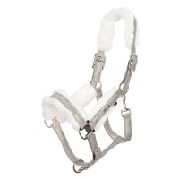 Welmoed Shine Halfter Cob kit