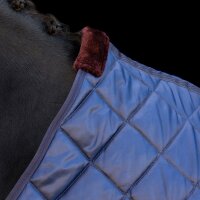 HV Polo Jet Stalldecke