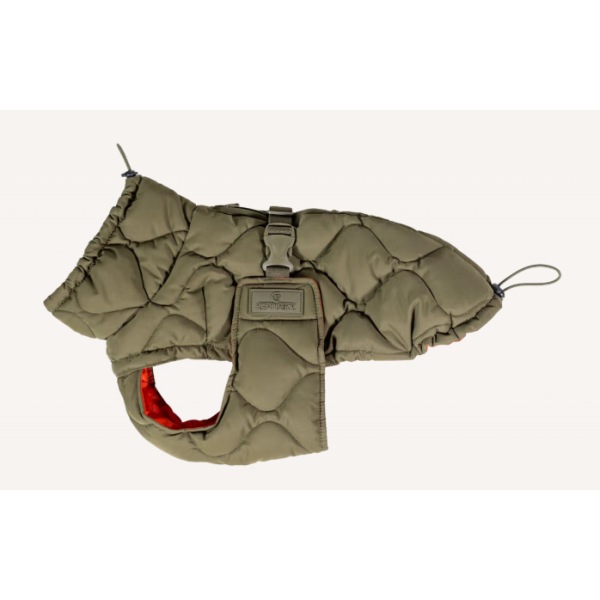 Hundemantel Winter Pina S pine green
