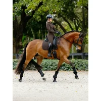 LeMieux Brilliance Dressurschabracke